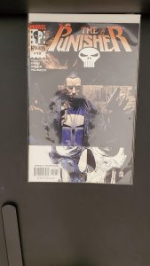 The Punisher #19