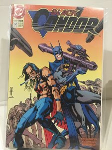 Black Condor #12 (1993)