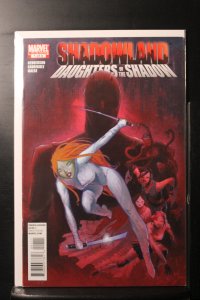 Shadowland: Daughters of the Shadow #1 (2010)