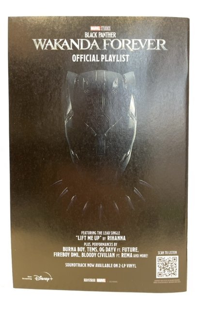 The Amazing Spider-Man #22 Caselli Cover (2023)