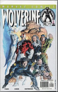 Wolverine #172 (2002) Wolverine