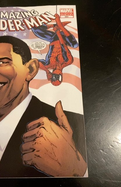 Spider-Man: Election Day  (2010)