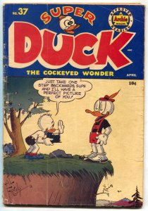 Super Duck #37  1951 - Archie  -VG - Comic Book