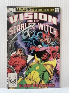 The Vision And The Scarlet Witch  #1 2 3 4 Limited Series 