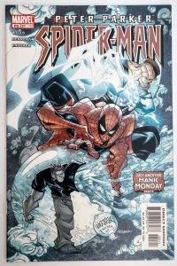 Peter Parker: Spider-Man #51 (VF+, 2003)