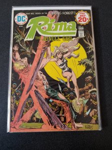 Rima The Jungle Girl #4 DC 1974 VF + Joe Kubert