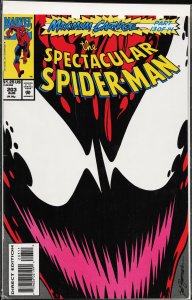 The Spectacular Spider-Man #203 (1993) Spider-Man
