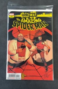 The Amazing Spider-Man #41 (2024)