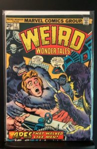 Weird Wonder Tales #7 (1974)