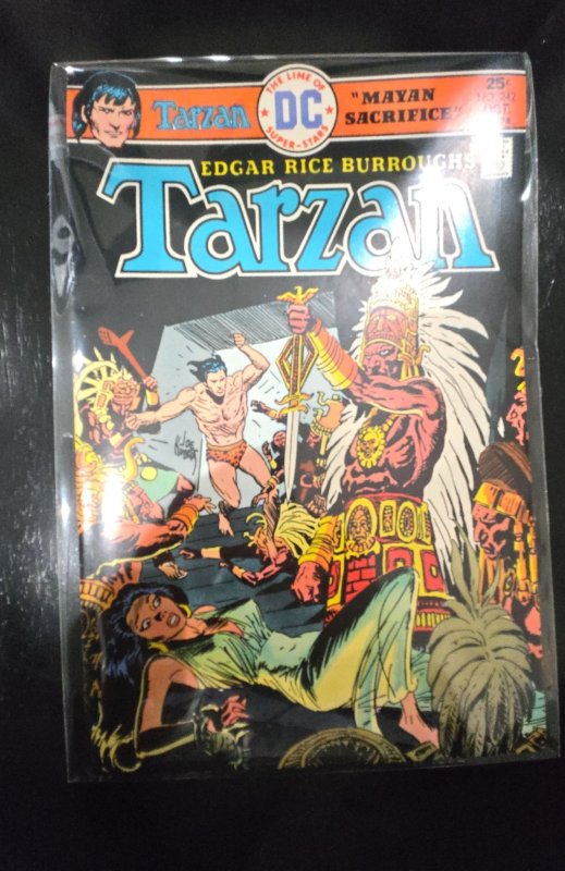 Edgar Rice Burroughs' Tarzan #242 (1975)