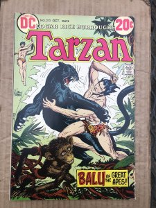 Tarzan #213 (1972)