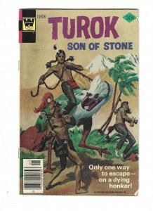 Turok, Son of Stone #110 (1977)