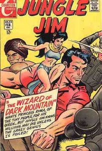 Jungle Jim (Charlton) #22 FN ; Charlton | February 1969 Wizard of Dark Mountain