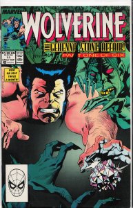 Wolverine #17 (1989) Wolverine