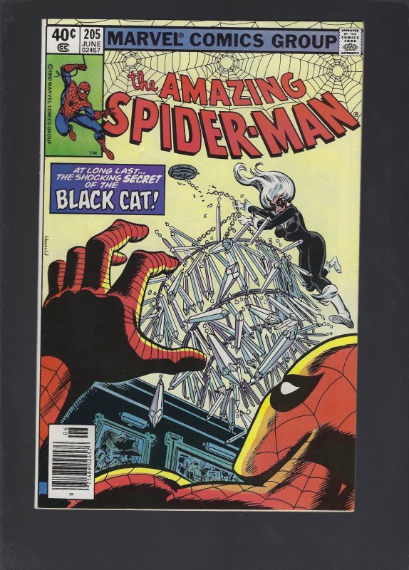 The Amazing Spider-Man #205 (1980)