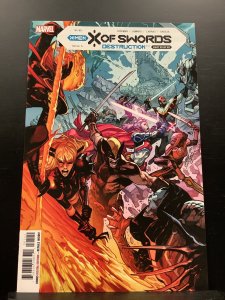 X of Swords: Destruction (2021)