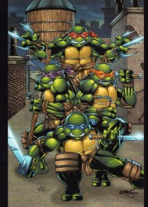 Teenage Mutant Ninja Turtles (2014) 11 x 17 Print Signed by Sean Forney