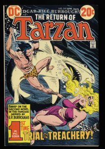 Tarzan of the Apes #219 FN+ 6.5