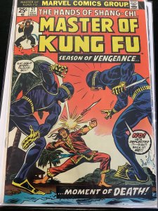 Master of Kung Fu #21 (1974)