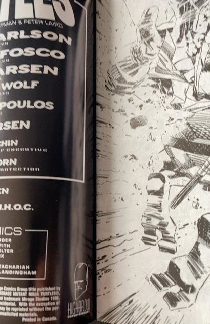 Teenage Mutant Ninja Turtles #1 (1996)