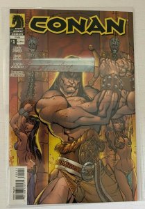 Conan #1 B 2nd Print Dark Horse variant 6.0 FN (2014) 761568130171