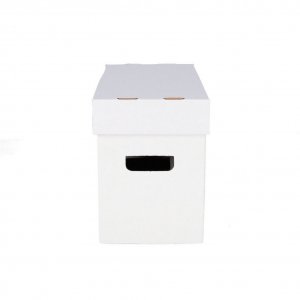 Short Comic Storage Box Pack of 10