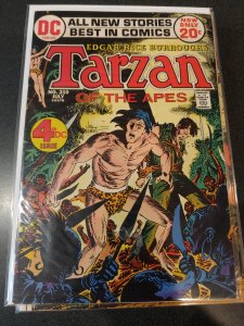 Tarzan #210 (1972)