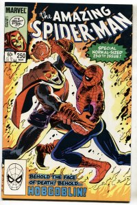 AMAZING SPIDER-MAN #250--comic book--1984--MARVEL--Hobgoblin--VF