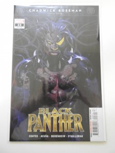 Black Panther #23 (2021)