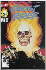 Ghost Rider V3 (1989) #2-7,59-61,66-69,72,73 + Danny Ketch comic book lot of 50