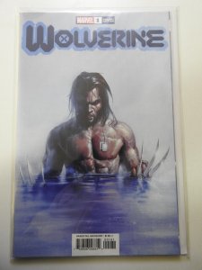 Wolverine #1 Variant Edition