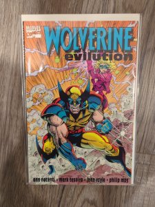 Wolverine Graphic Novels TPB - Lot of 10 - NM Condition