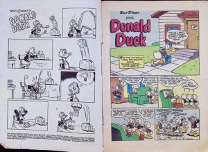 WALT DISNEY’S DONALD DUCK Comic # 31 — 36 Pages 1953 Dell Comics Good Condition