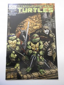 Teenage Mutant Ninja Turtles #24 Cover B (2013) NM- Condition