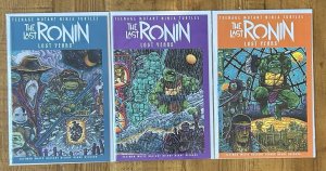Teenage Mutant Ninja Turtles Lost Years #2,3,4 NM Lot TMNT Variant B