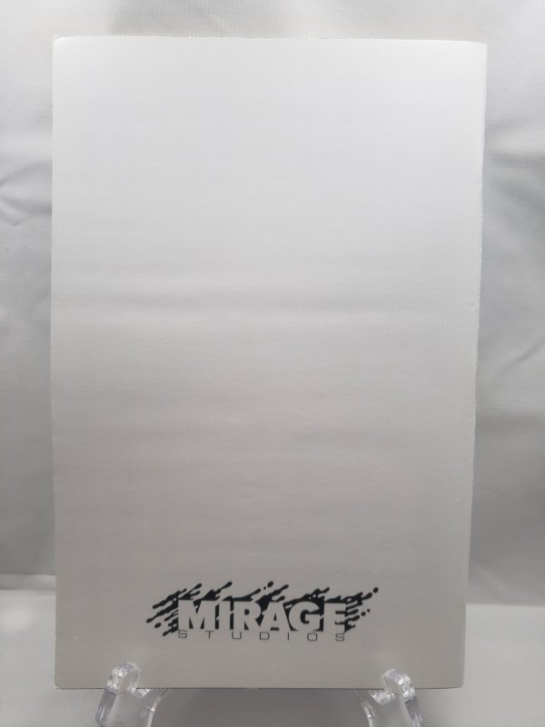 Teenage mutant ninja turtles 21