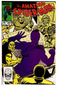 The Amazing Spider-Man #247 (1983) Spider-Man