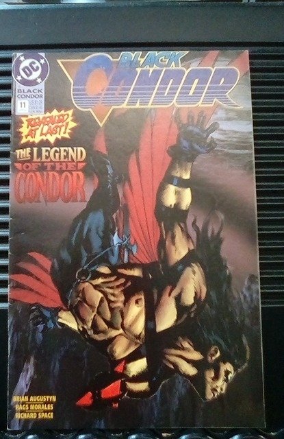 Black Condor #11 (1993)