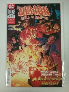 The Demon Hell is Earth #3 DC Universe Comic NW98