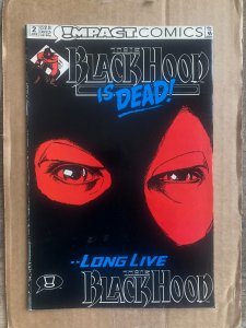 The Black Hood #2 (1992)