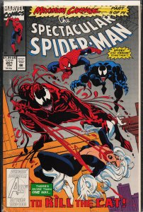 The Spectacular Spider-Man #201 (1993) Spider-Man