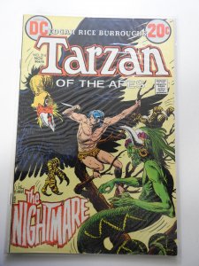 Edgar Rice Burroughs' Tarzan #214 (1972)