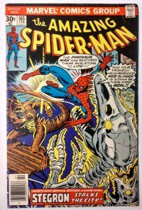 The Amazing Spider-Man #165 (6.0, 1977) X2