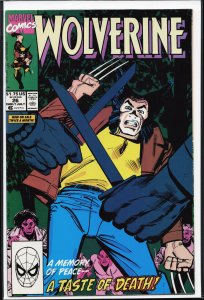 Wolverine #26 (1990) Wolverine