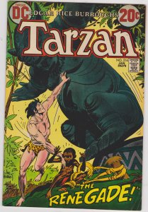 Tarzan #216