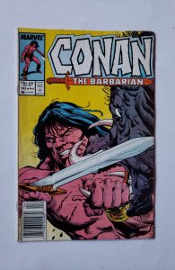 Conan the Barbarian #193 (1987)