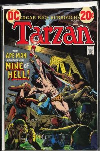 Edgar Rice Burroughs' Tarzan #215 (1972)
