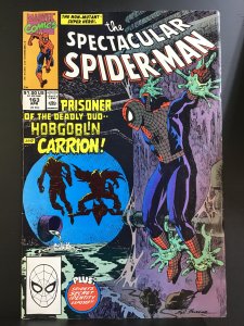 The Spectacular Spider-Man #163 (1990)