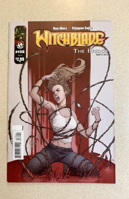 Witchblade #132 (2009) Ron Marz Story Nelson Blake II Variant Cover