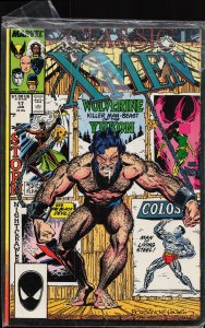 Classic X-Men #17 (1988) X-Men